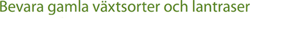 Bevara gamla växtsorter och lantraser